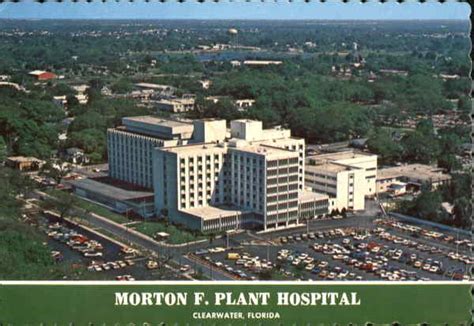 morton plant hospital clearwater jobs|morton plant doctor directory.